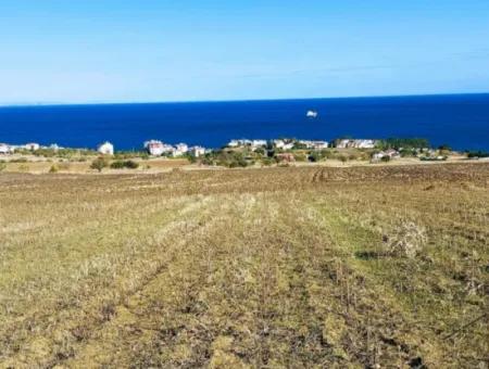 High Profit Guarantee For Tekirdag Emergency Sale 6 Flat Opportunity Land Investor