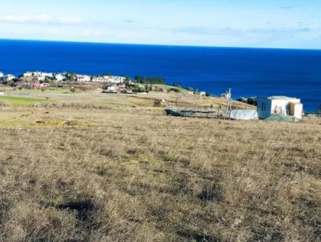 Opportunity Land Suitable For Building Your Detached House In Your Pregnant House For Urgent Sale In Tekirdag Barbarosta