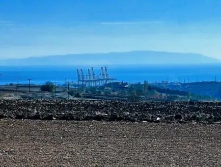 34 000 M2 Rental Field In Tekirdağ Süleymanpaşa Barbaros Neighborhood