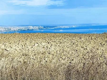 34 000 M2 Rental Field In Tekirdağ Süleymanpaşa Barbaros Neighborhood