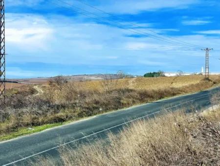 34 000 M2 Rental Field In Tekirdağ Süleymanpaşa Barbaros Neighborhood