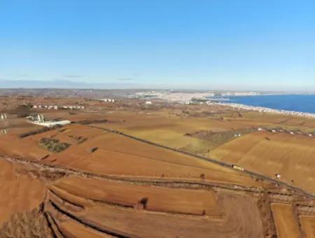 34 000 M2 Rental Field In Tekirdağ Süleymanpaşa Barbaros Neighborhood