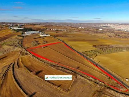 34 000 M2 Rental Field In Tekirdağ Süleymanpaşa Barbaros Neighborhood