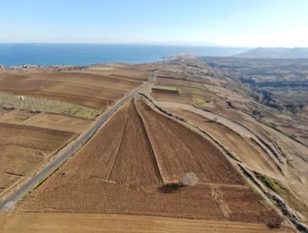 34 000 M2 Rental Field In Tekirdağ Süleymanpaşa Barbaros Neighborhood