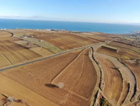 34 000 M2 Rental Field In Tekirdağ Süleymanpaşa Barbaros Neighborhood