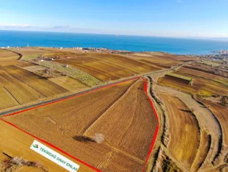 34 000 M2 Rental Field In Tekirdağ Süleymanpaşa Barbaros Neighborhood