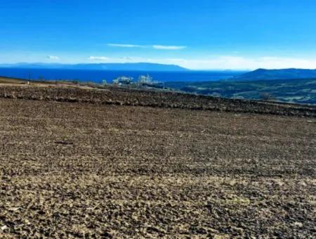 34 000 M2 Rental Field In Tekirdağ Süleymanpaşa Barbaros Neighborhood