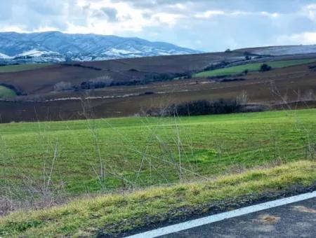 Field For Sale In Tekirdağ Süleymanpaşa Işıklar Mahallesi