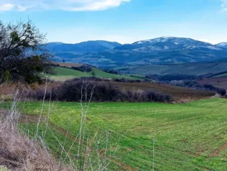 Field For Sale In Tekirdağ Süleymanpaşa Işıklar Mahallesi