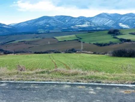 Field For Sale In Tekirdağ Süleymanpaşa Işıklar Mahallesi