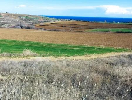 This Land In Tekirdağ Barbaros Is Included In The Current Zoning Plan Of Asyaport Port And Has A Potential For Commercial And Industrial Areas.