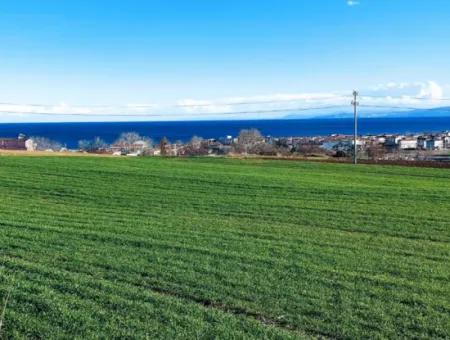 Located In Süleymanpaşa Barbaros, Tekirdag, This 11.100 M2 Residential Land Is Located In A Great Location.