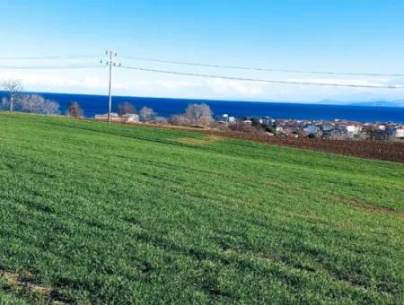 Located In Süleymanpaşa Barbaros, Tekirdag, This 11.100 M2 Residential Land Is Located In A Great Location.