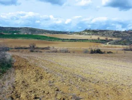 16.200 Square Meters Of Land For Sale In Süleymanpaşa Yazır Neighborhood Of Tekirdağ