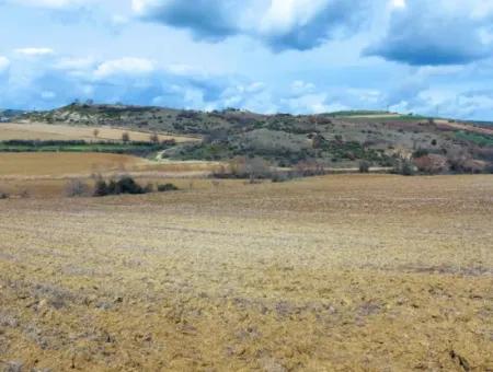 16.200 Square Meters Of Land For Sale In Süleymanpaşa Yazır Neighborhood Of Tekirdağ