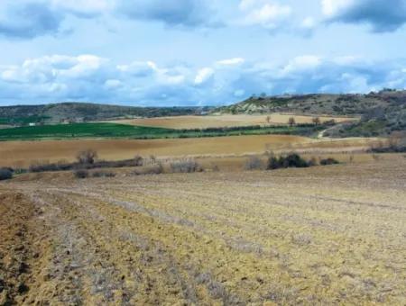 16.200 Square Meters Of Land For Sale In Süleymanpaşa Yazır Neighborhood Of Tekirdağ