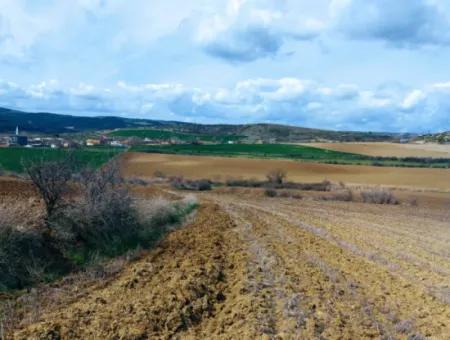 16.200 Square Meters Of Land For Sale In Süleymanpaşa Yazır Neighborhood Of Tekirdağ