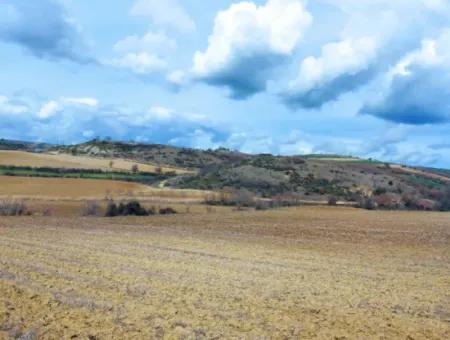 16.200 Square Meters Of Land For Sale In Süleymanpaşa Yazır Neighborhood Of Tekirdağ