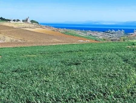 Land For Sale In 19,500 Square Meters Of Commercial And Industrial Area In Nusuratlı Area Of Tekirdağ