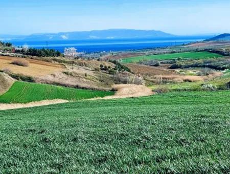 Land For Sale In 19,500 Square Meters Of Commercial And Industrial Area In Nusuratlı Area Of Tekirdağ