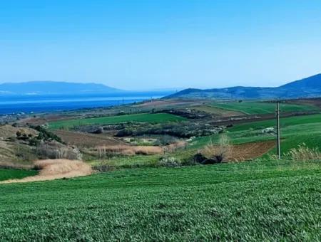 Land For Sale In 19,500 Square Meters Of Commercial And Industrial Area In Nusuratlı Area Of Tekirdağ