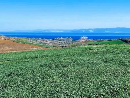 Land For Sale In 19,500 Square Meters Of Commercial And Industrial Area In Nusuratlı Area Of Tekirdağ