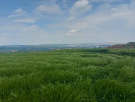 14.100 M2 Investment Bargain Field For Sale In Tekirdağ Süleymanpaşa Yavuz District