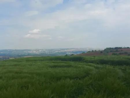 14.100 M2 Investment Bargain Field For Sale In Tekirdağ Süleymanpaşa Yavuz District