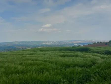 14.100 M2 Investment Bargain Field For Sale In Tekirdağ Süleymanpaşa Yavuz District