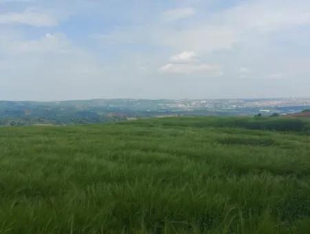 14.100 M2 Investment Bargain Field For Sale In Tekirdağ Süleymanpaşa Yavuz District