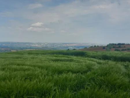 14.100 M2 Investment Bargain Field For Sale In Tekirdağ Süleymanpaşa Yavuz District