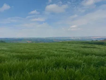 14.100 M2 Investment Bargain Field For Sale In Tekirdağ Süleymanpaşa Yavuz District