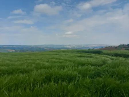 14.100 M2 Investment Bargain Field For Sale In Tekirdağ Süleymanpaşa Yavuz District