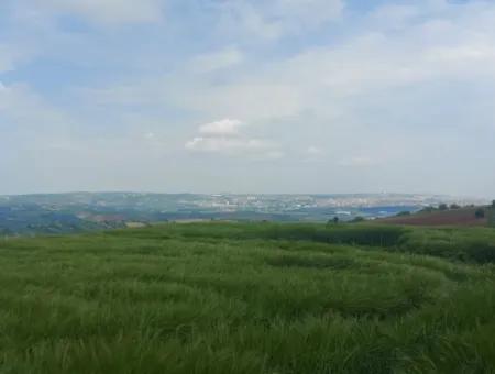 14.100 M2 Investment Bargain Field For Sale In Tekirdağ Süleymanpaşa Yavuz District