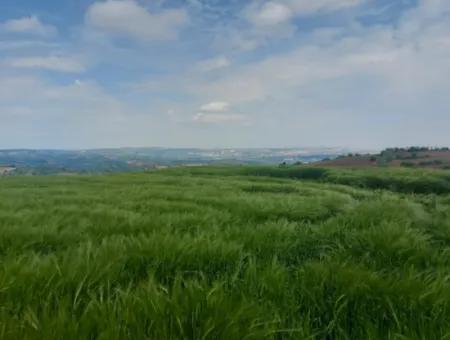 14.100 M2 Investment Bargain Field For Sale In Tekirdağ Süleymanpaşa Yavuz District