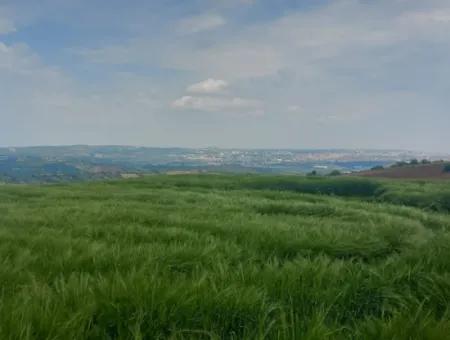 14.100 M2 Investment Bargain Field For Sale In Tekirdağ Süleymanpaşa Yavuz District