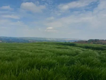 14.100 M2 Investment Bargain Field For Sale In Tekirdağ Süleymanpaşa Yavuz District