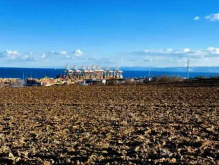 18 100 M2 Residential Zoned Field Located Very Close To Tekirdağ Barbaros Asyaport Port