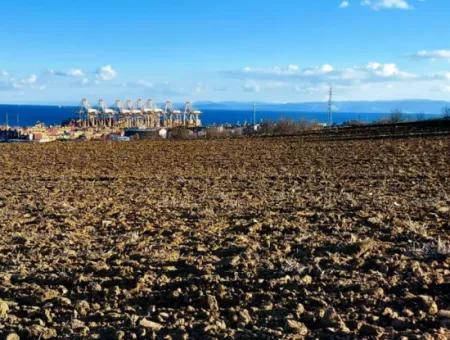 18 100 M2 Residential Zoned Field Located Very Close To Tekirdağ Barbaros Asyaport Port