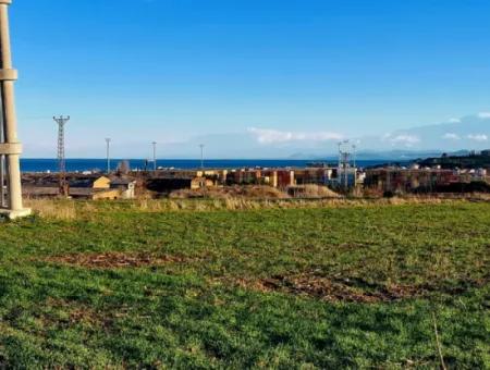 3.100 M2 Field For Sale In Tekirdag Süleymanpaşa Barbaros With Magnificent Sea And Nature Views