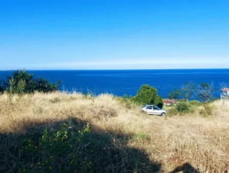 590 M2 Plot Of Land With Full Sea View In Tekirdag Barbarossa, Suitable For 3 Villas!