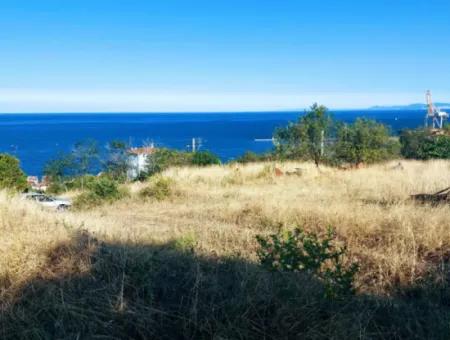 590 M2 Plot Of Land With Full Sea View In Tekirdag Barbarossa, Suitable For 3 Villas!