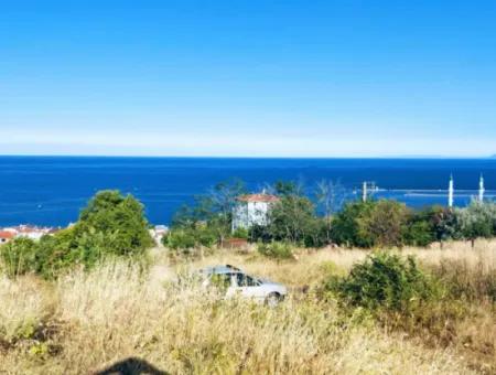 590 M2 Plot Of Land With Full Sea View In Tekirdag Barbarossa, Suitable For 3 Villas!