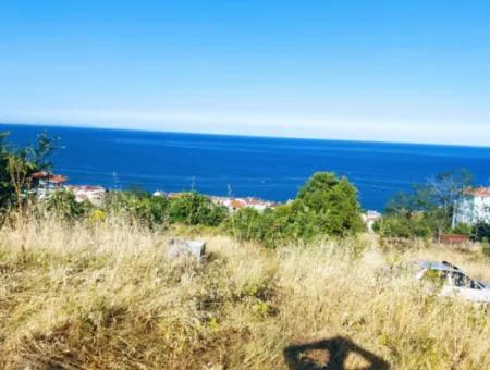 590 M2 Plot Of Land With Full Sea View In Tekirdag Barbarossa, Suitable For 3 Villas!