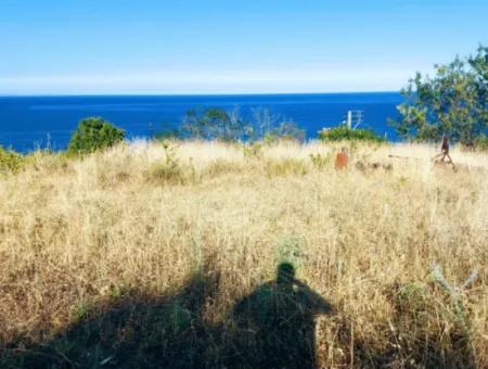 590 M2 Plot Of Land With Full Sea View In Tekirdag Barbarossa, Suitable For 3 Villas!