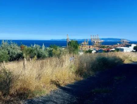 590 M2 Plot Of Land With Full Sea View In Tekirdag Barbarossa, Suitable For 3 Villas!