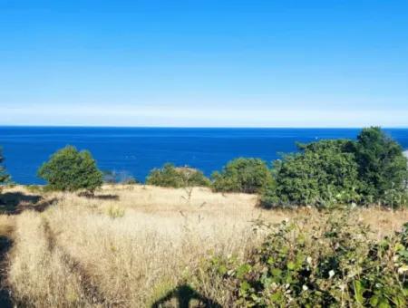 590 M2 Plot Of Land With Full Sea View In Tekirdag Barbarossa, Suitable For 3 Villas!