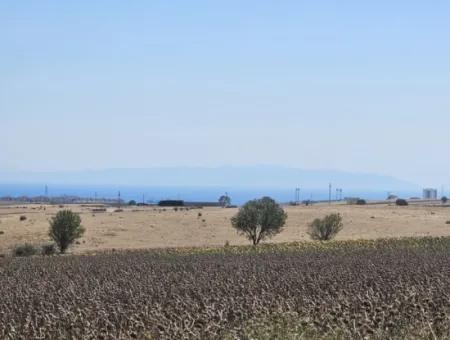 9.300 M2 Investment Field With Sea And Nature View In Tekirdağ Husunlu! Ideal Opportunity For Family Picnic, Viticulture Or Tiny House Project