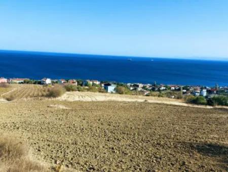 16.850 M2 Sea And Nature View Cooperative And Site Zoned Investment Land In Tekirdağ Barbaros!