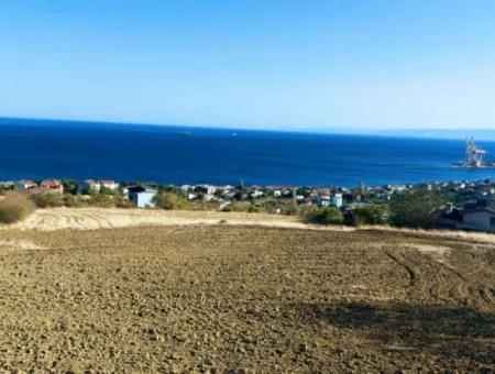 16.850 M2 Sea And Nature View Cooperative And Site Zoned Investment Land In Tekirdağ Barbaros!